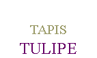 TULIPE TULIPE